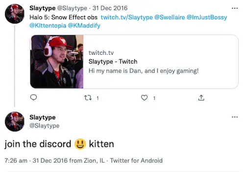 slaytypeda discord kitten